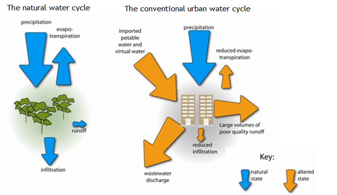 Major differences between the natural water cycle and the conventional urban water cycle. Source HEALTHY WATERWAYS 2011